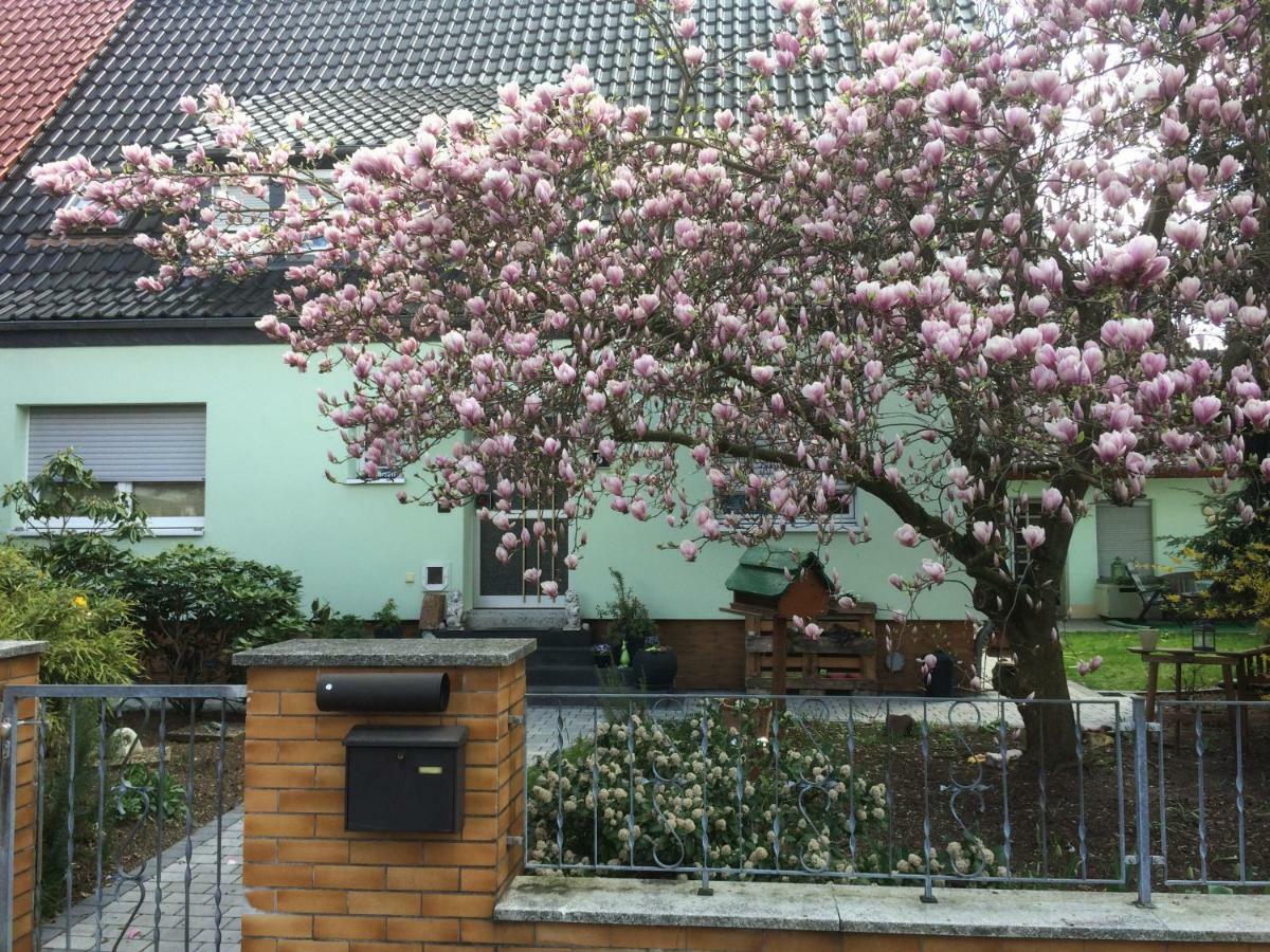 Ferienwohnung Im Grünen Haus Großostheim Exterior foto