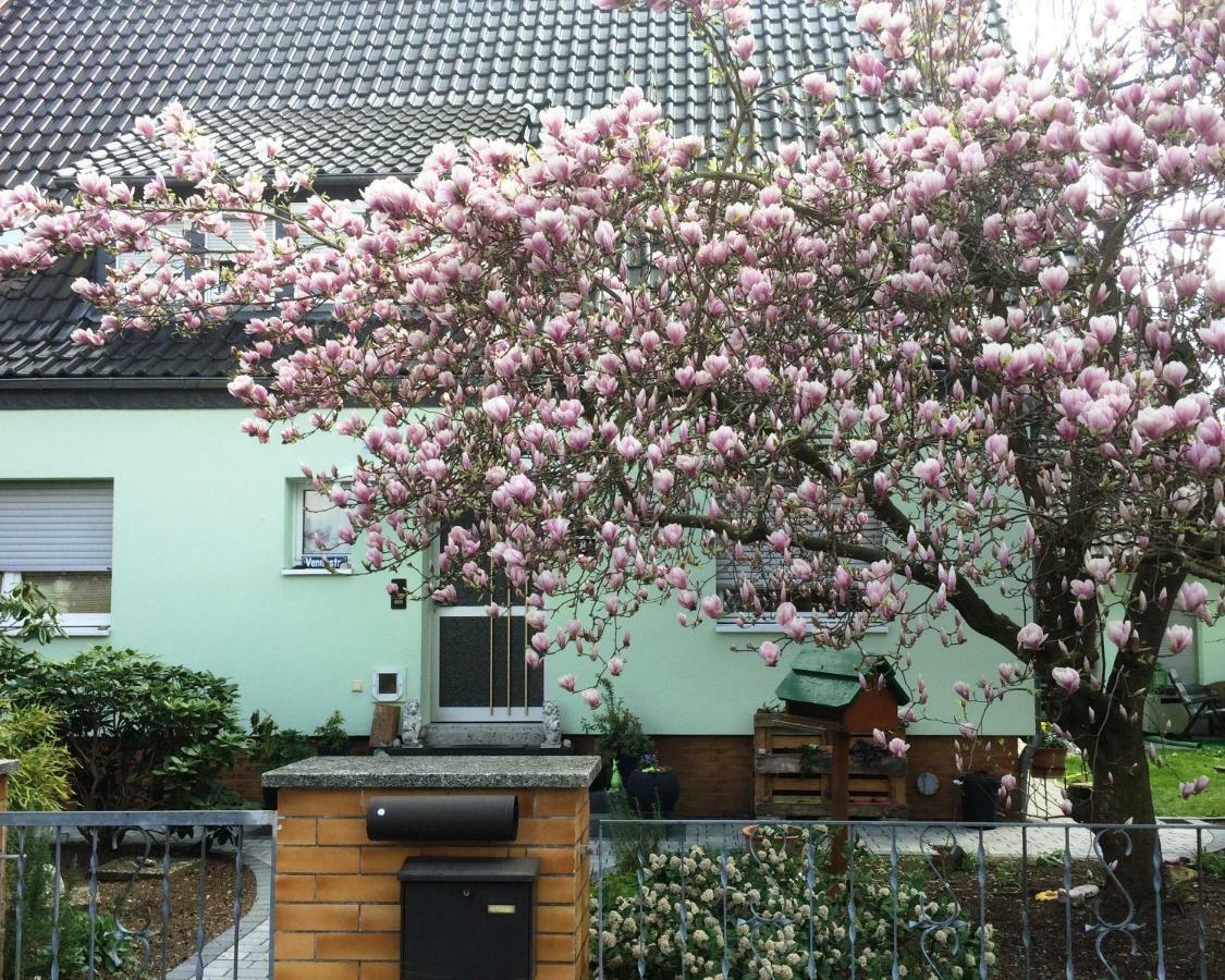 Ferienwohnung Im Grünen Haus Großostheim Exterior foto