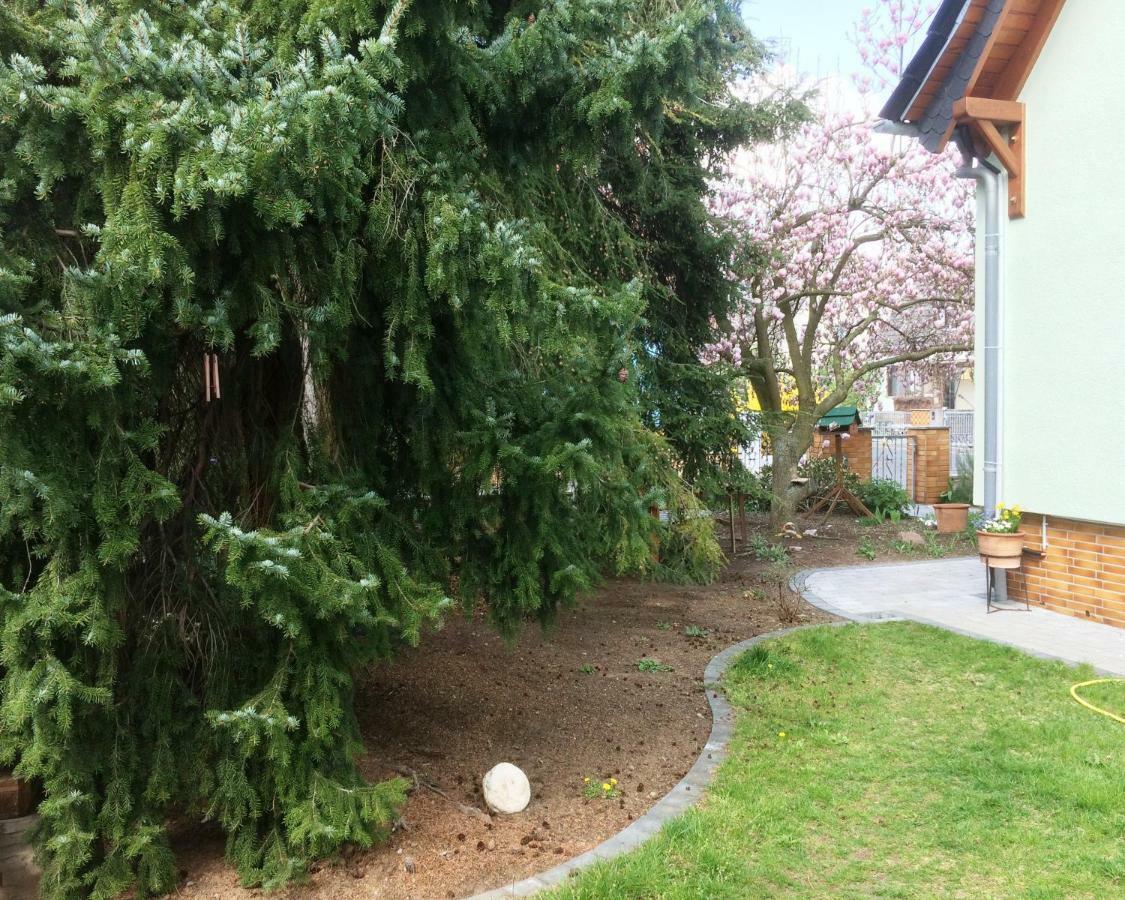 Ferienwohnung Im Grünen Haus Großostheim Exterior foto