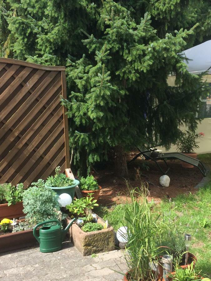 Ferienwohnung Im Grünen Haus Großostheim Exterior foto